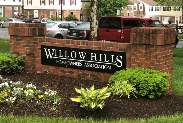 willow-hills